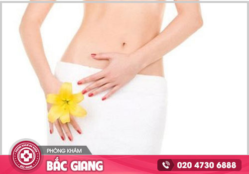 Chi phí chỉnh hình âm vật ở Bắc Giang là bao nhiêu năm 2024?