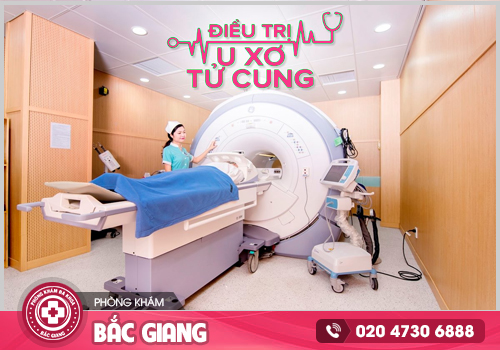 Chữa bệnh u xơ tử cung ở Bắc Giang không thể bỏ qua địa chỉ này