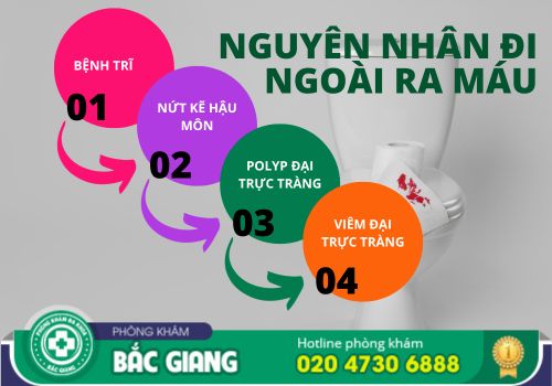 chữa đi ngoài ra máu tại bắc giang