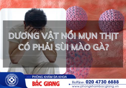 dương vật nổi mụn thịt có phải sùi mào gà