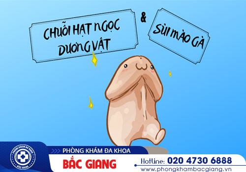 Hạt ngọc dương vật là gì? Có nguy hiểm không?