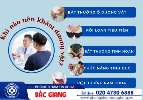 địa chỉ khám dương vật