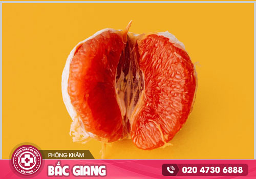 Khám viêm âm hộ ngoài tại Bắc Giang ở đâu đáng tin cậy?