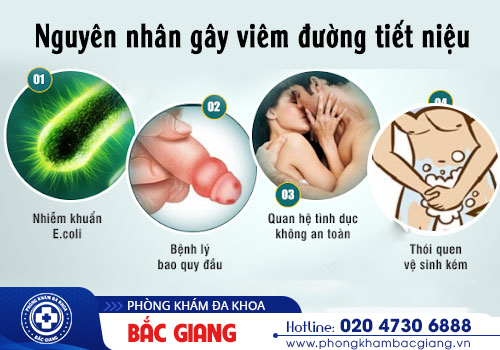 Nên khám viêm đường tiết niệu ở đâu?