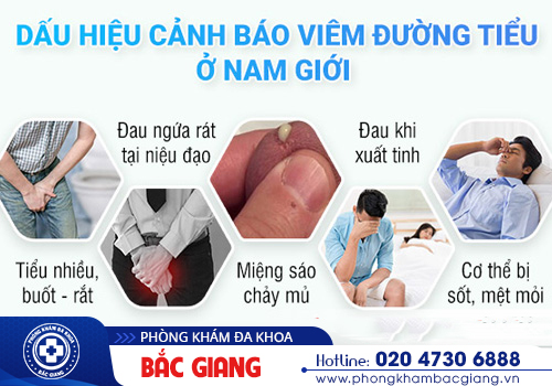 Nên khám viêm đường tiết niệu ở đâu?