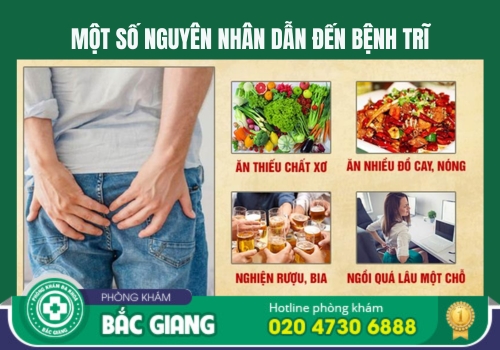 bệnh trĩ tổng hợp, nội, ngoại