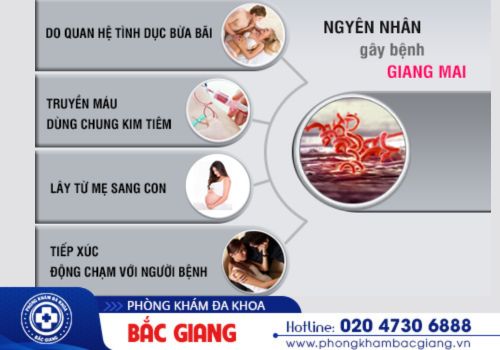 địa chỉ  điều trị giang mai tốt tại bắc giang