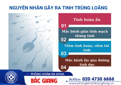nguyên nhân gây ra tinh trùng loãng