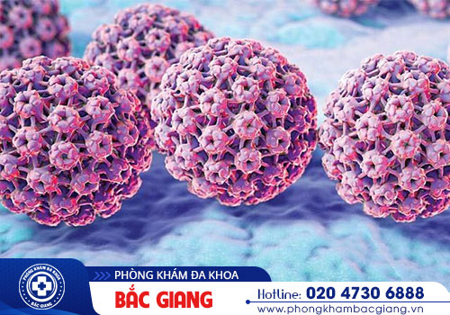 Nhiễm HPV là gì? Biến chứng và phương pháp điều trị virus HPV