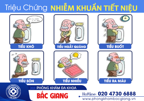 Nhiễm khuẩn tiết niệu – Bệnh lý thường gặp, cần điều trị sớm