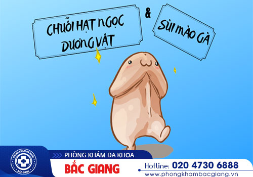 Phân biệt hạt ngọc dương vật với sùi mào gà - Coi chừng nhầm lẫn nguy hiểm