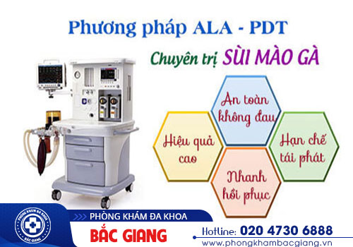 Sùi mào gà ở vùng kín có sao không?