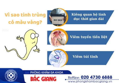 vì sao tinh trùng có màu vàng