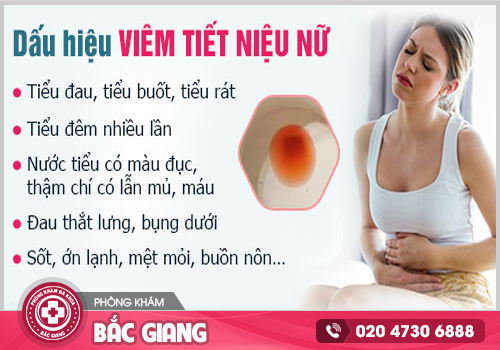 Viêm đường tiết niệu ở nữ - Nguy cơ mắc bệnh cao gấp 5 lần nam giới