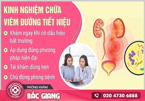 Viêm đường tiết niệu ở nữ - Nguy cơ mắc bệnh cao gấp 5 lần nam giới