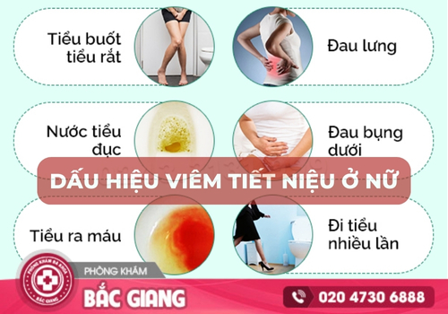 viêm tiết niệu