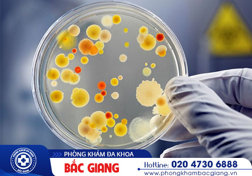 Xét nghiệm lậu sớm có lợi ích gì? Khi nào cần thực hiện xét nghiệm?